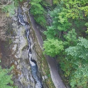 Meet your Posher, Aesthetic Connect